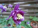 DSCN9712.webp
