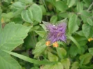 DSCF2284.webp