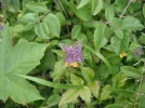 DSCF2283.webp