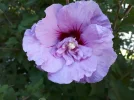 20180630_163418.webp