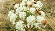 DSCF9540 (2).webp