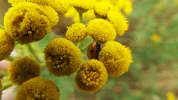 DSCF9535 (2).webp