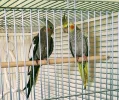 IMG_20180726_1536122.webp