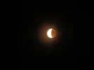 P7271131.webp
