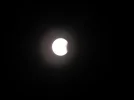 P7281142.webp