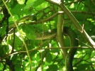 DSCF2456 (3).webp