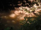 DSCF2522.webp