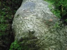 DSCF2546.webp