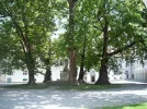 DSCF2313.webp