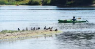 DSCF9684 (3).webp