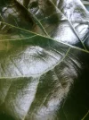 IMG_20180729_142342.webp