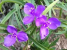 20180729_084238.webp