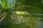 DSC_1363.webp