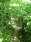 DSC02911.webp