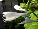 20180730_182654.webp