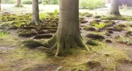 DSCF9487 (4).webp