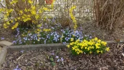 Garten Juli 2018 114.webp