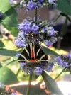 PICT0010.webp