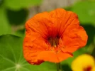 pic (59).webp