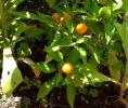 IMG-20180801-WA0004.webp