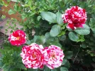 20180719_090835.webp