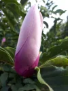 20180808_185320.webp