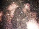 DSCF2304.webp