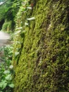DSCF2345.webp