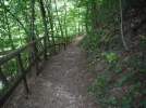 DSCF2342.webp