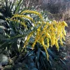 20180809_184623.webp