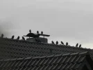 P8091158.webp