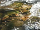 DSCF2367.webp