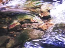 DSCF2366 (3).webp