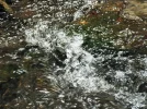 DSCF2370 (2).webp