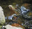 DSCF2375 (3).webp