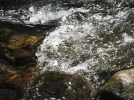 DSCF2369.webp