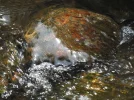 DSCF2377.webp