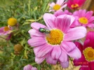 P1060333 Kopie.webp