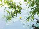 DSCF9445 (2).webp