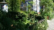 rps20180814_004014.webp