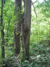 DSCF2389.webp