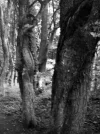 DSCF2390 (2).webp
