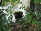 DSCF2391.webp