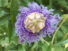 20180814_185817.webp