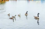 DSCF9286 (4).webp