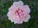 20180816_112846.webp