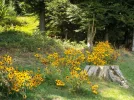 DSCN4032.webp