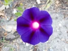 20180817_065205.webp