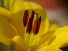 pic (42).webp
