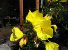 20180819_095424.webp